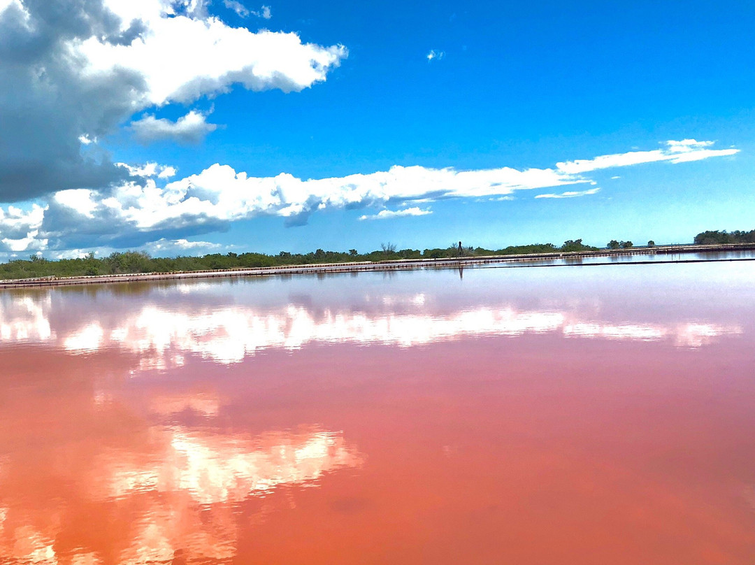 Salt Flats and Wildlife Refuge景点图片