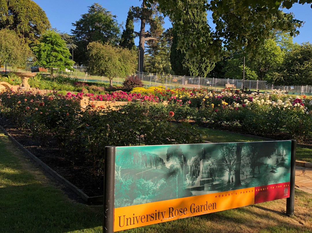 University Rose Garden景点图片