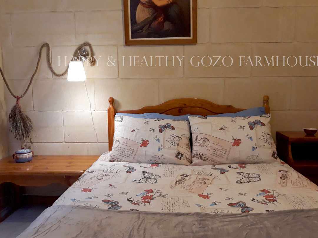 Happy and Healthy Gozo BnB主图