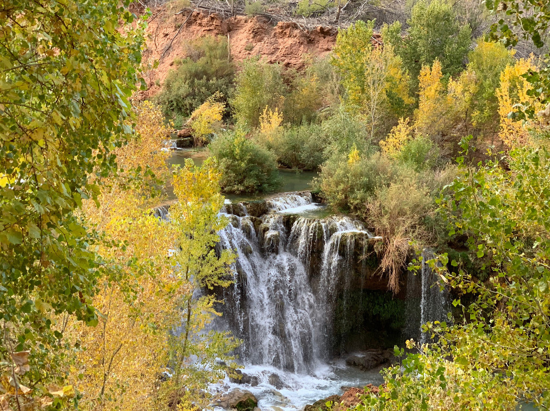 Navajo Falls景点图片