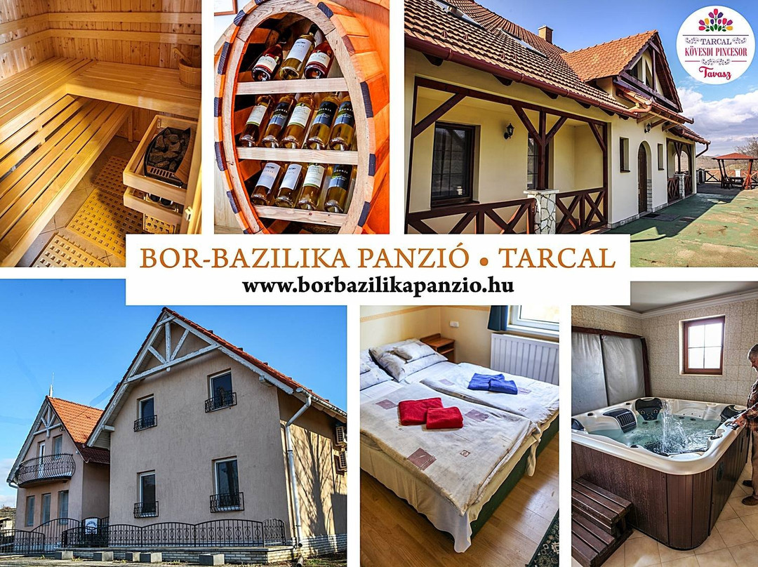 Bor-Bazilika Panzio主图