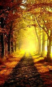 Volzhsk旅游攻略图片