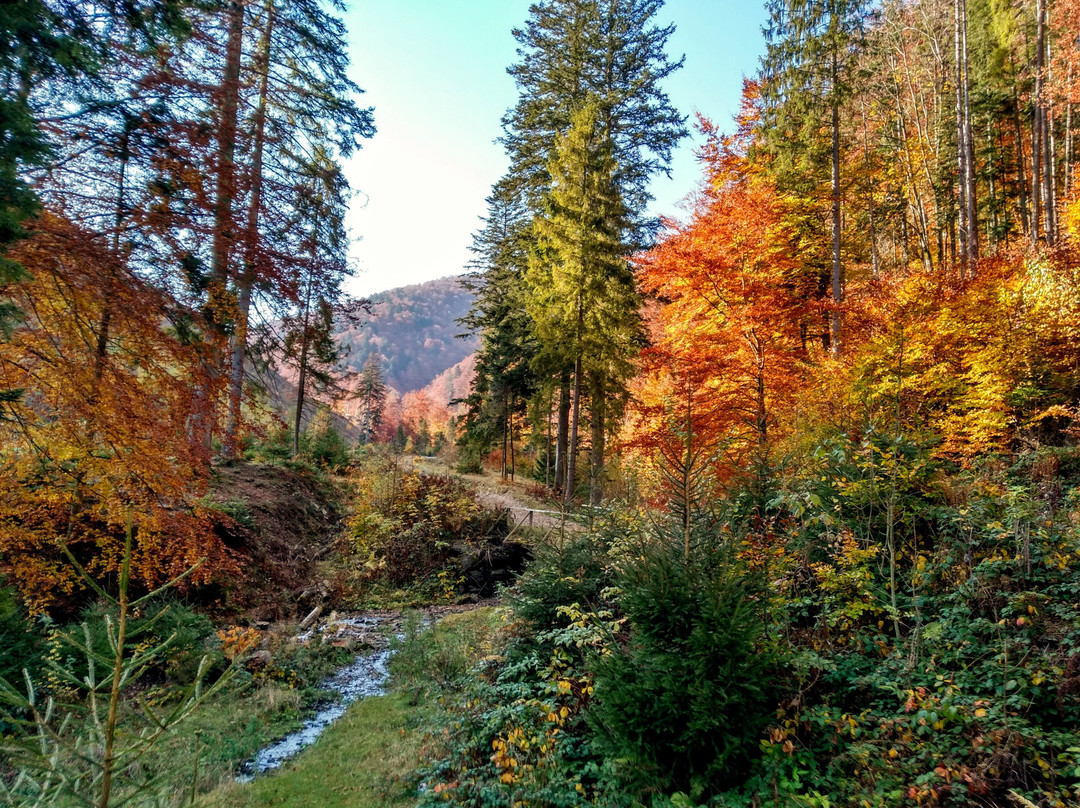 Volovets旅游攻略图片