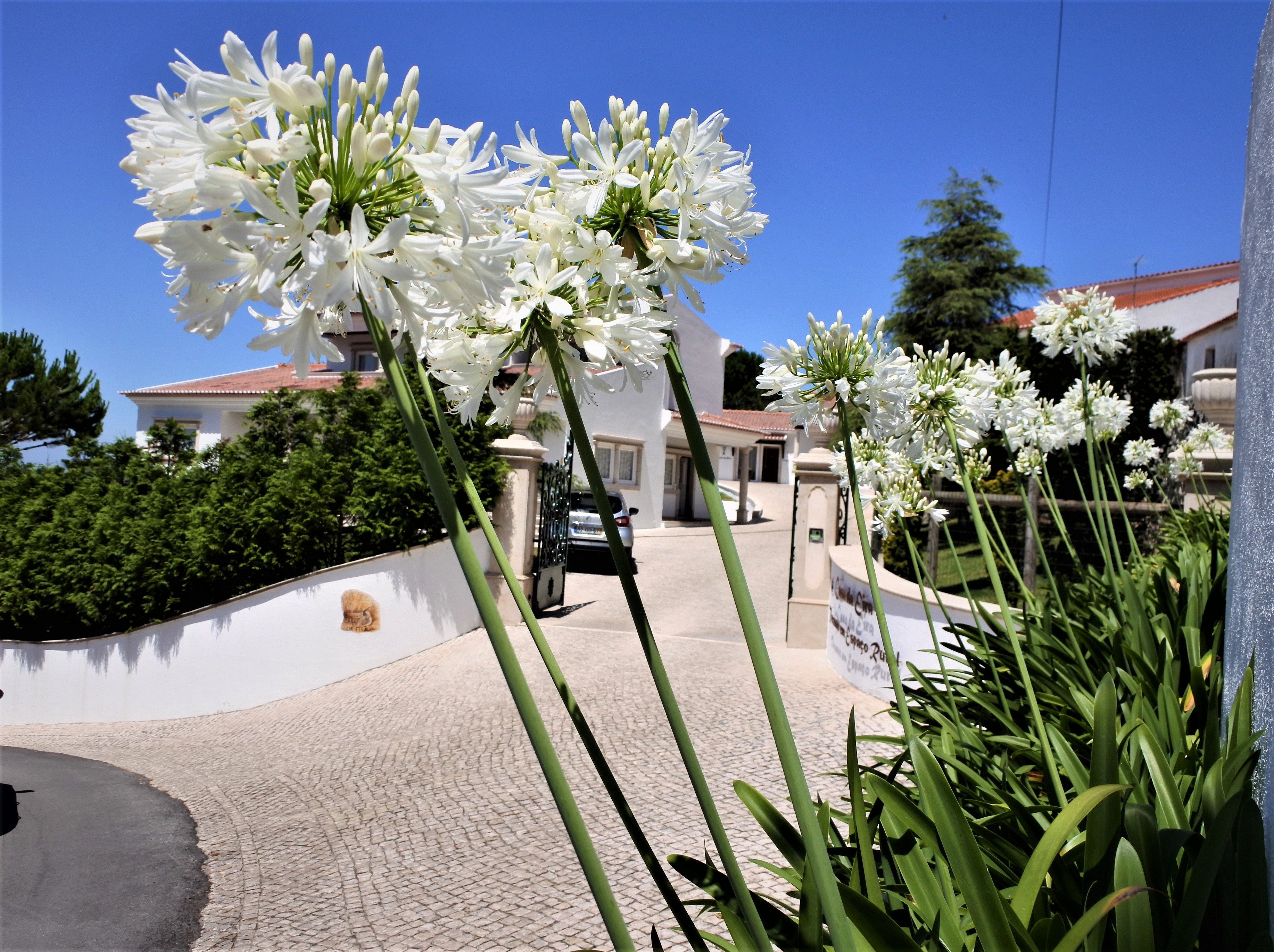Casa da Eira-官方