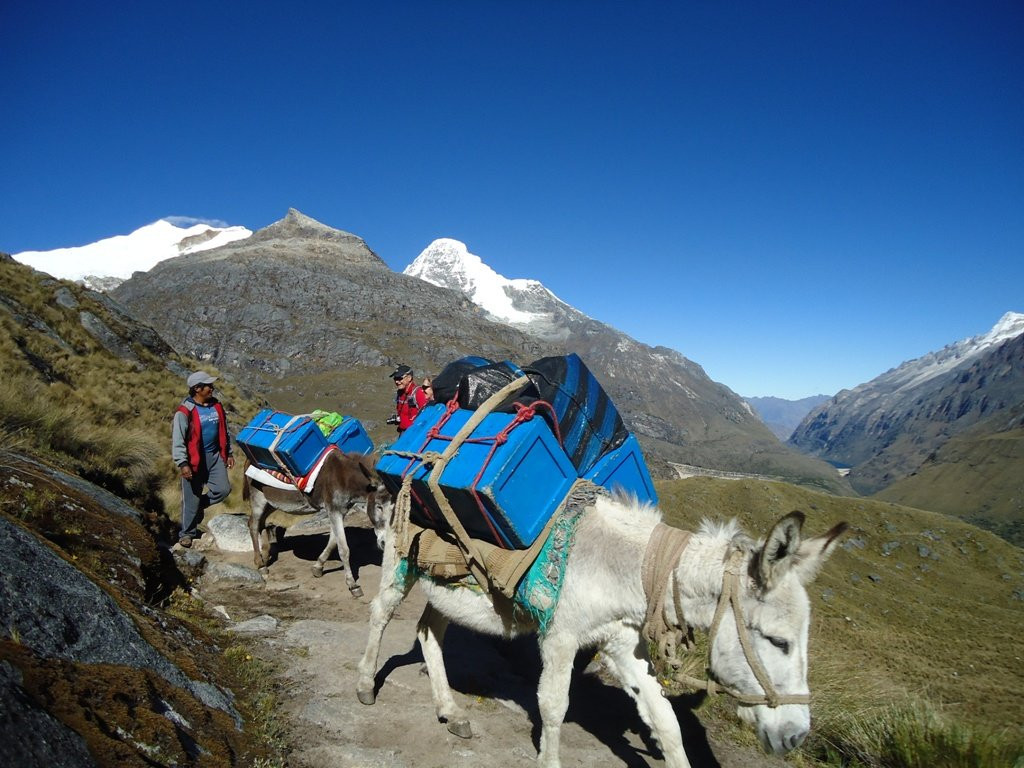 Enrique Expedition Tours-瓦拉斯必去景点