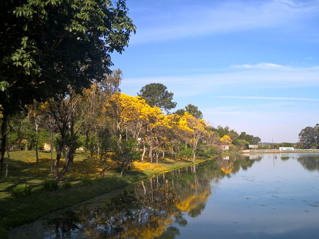 Lago Artificial Prof. J. K. Williams景点图片