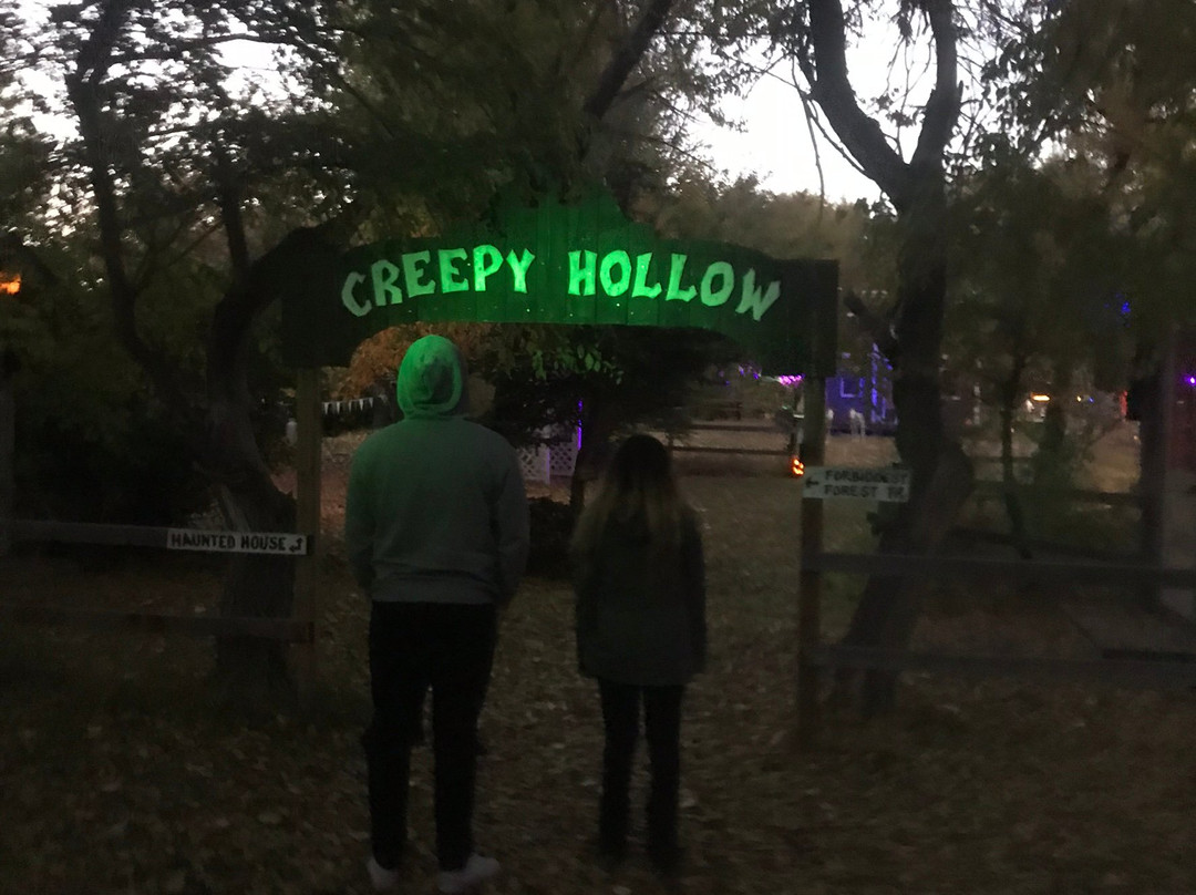Haunted Mansion Creepy Hollow景点图片