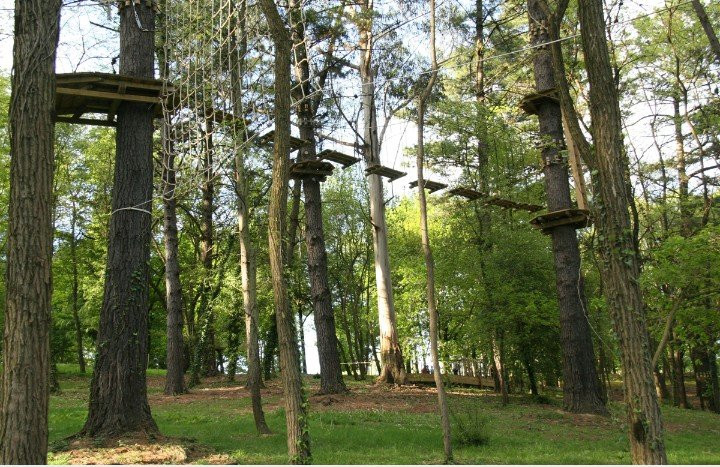 Forestal Park Bilbao景点图片