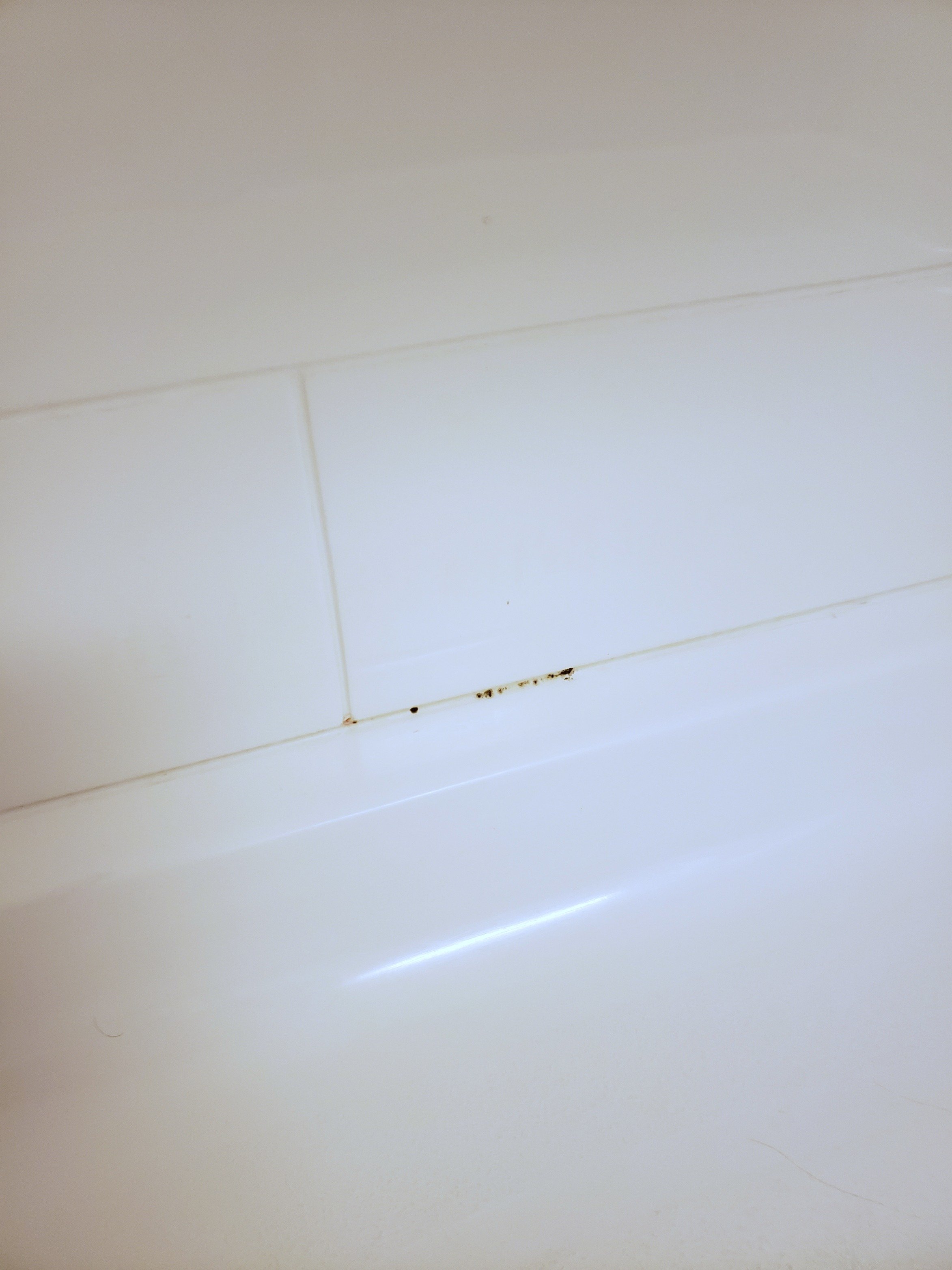 Hampton Inn Philadelphia/mt. Laurel-浴室