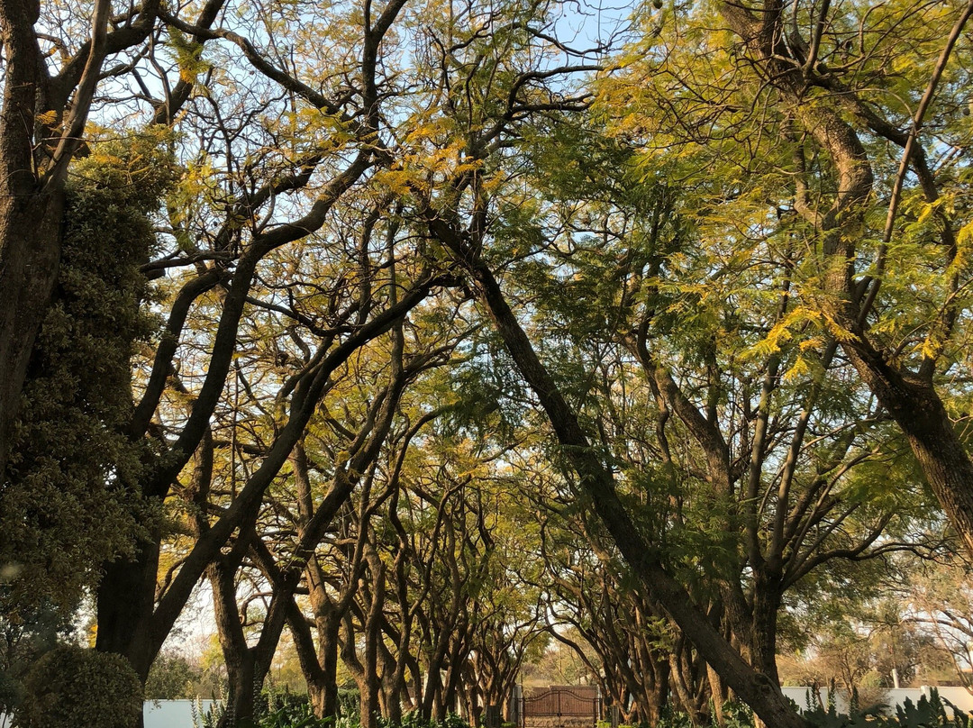 Kievits Kroon Spa-比勒陀利亚必去景点