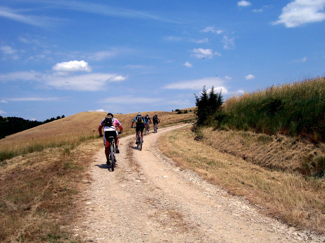 Tuscanybiking景点图片