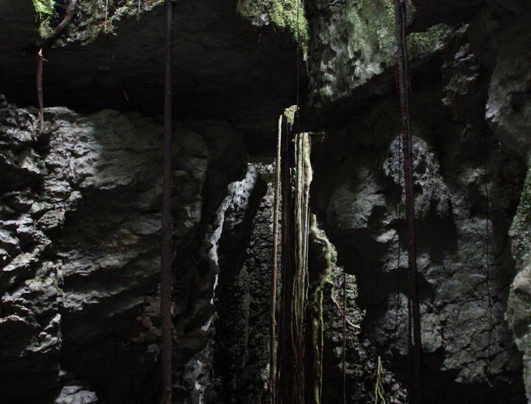 Nangaritza River-Zamora-Chinchipe Province必去景点