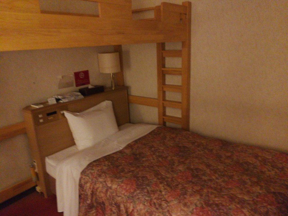 Business Green Hotel Youkaichi主图