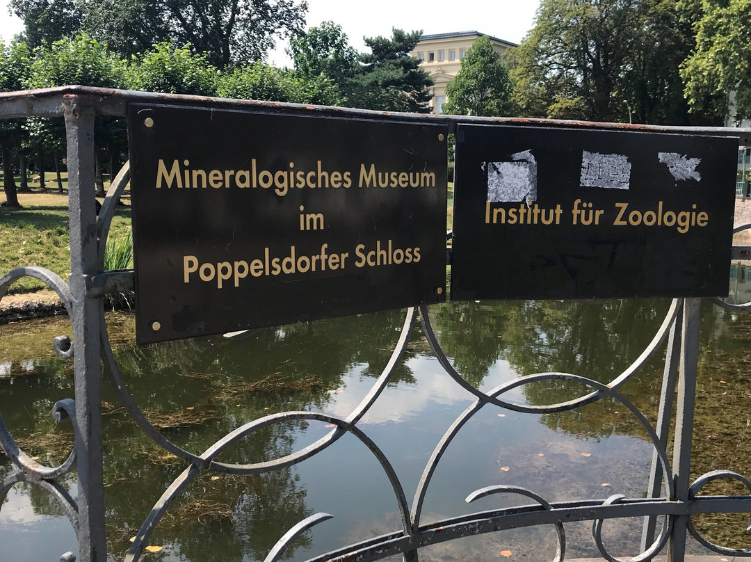 Mineralogisches Museum der Universität Bonn-波恩必去景点