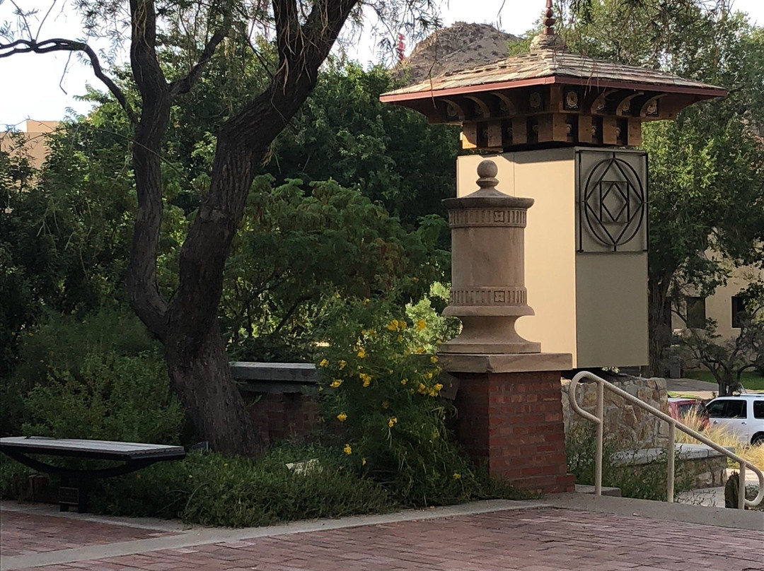 UTEP Centennial Museum and Chihuahuan Desert Gardens-埃尔帕索必去景点
