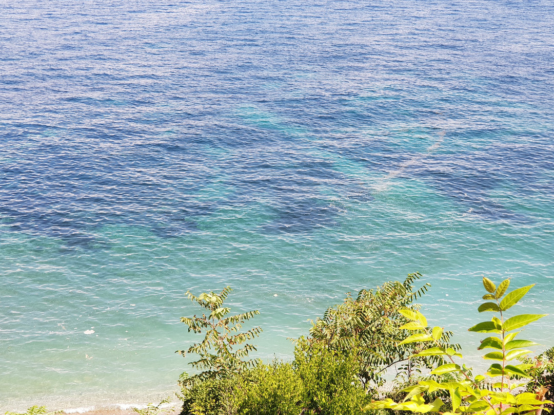 Spiaggia "Le Viste"景点图片