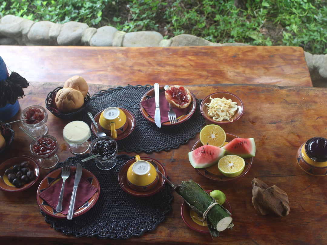 France Amazonia主图