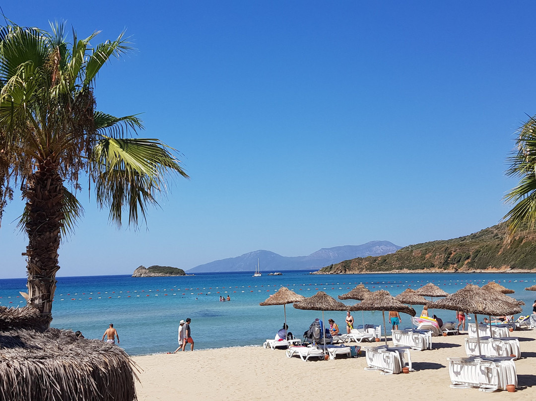 Palm Bay Beach Hotel主图