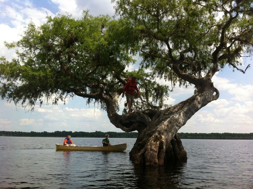 Lake Norris Conservation Area-Eustis必去景点
