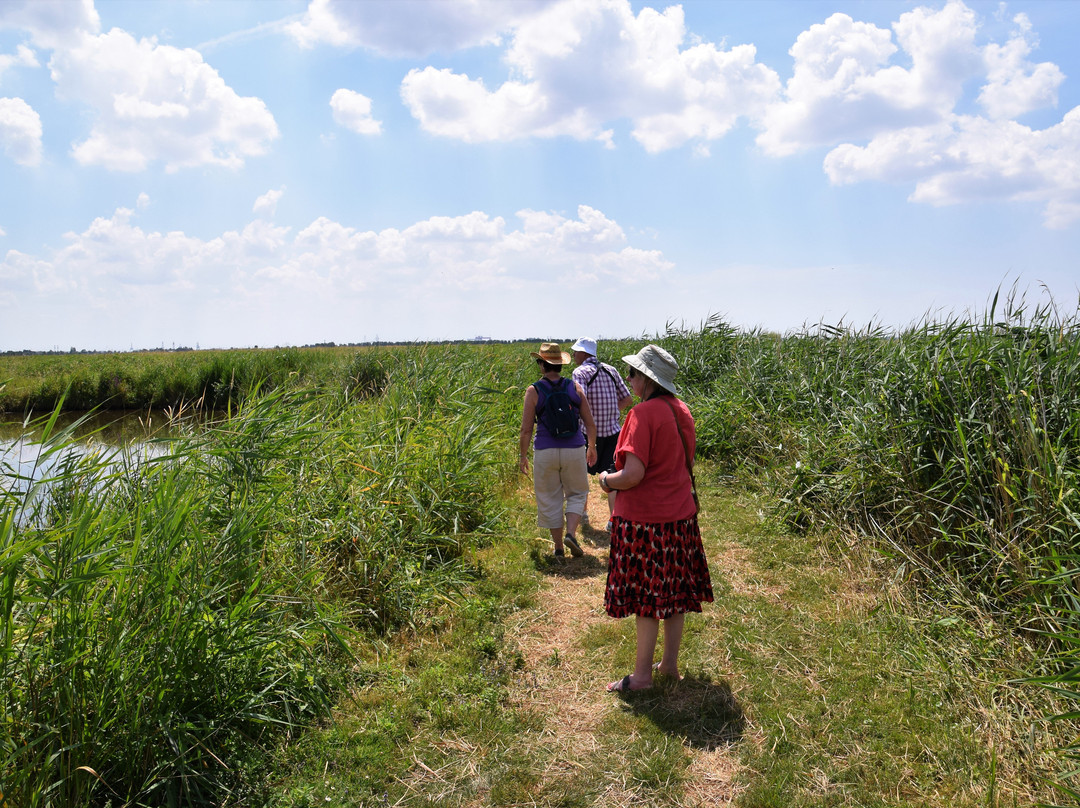 Réserve Naturelle Régionale Marais de Brière - Site Pierre Constant景点图片