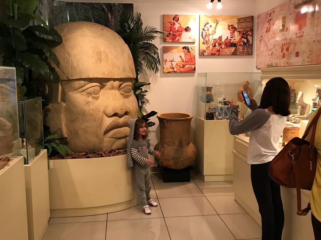 Museu de Arqueologia Ciro Flamarion Cardoso-Ponta Grossa必去景点