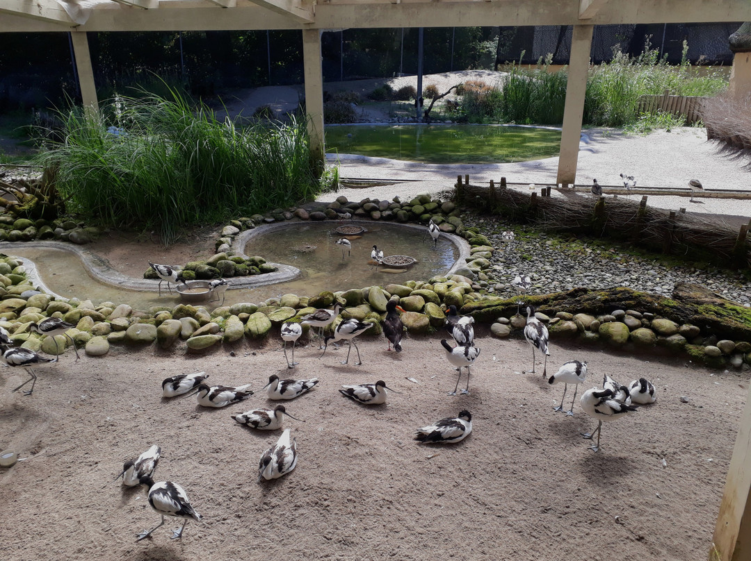 Zoo Vivarium Darmstadt-达姆施塔特行政区必去景点
