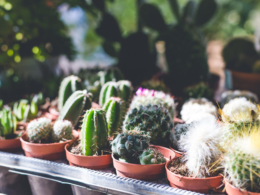 Farm to Table - Halbrecht Farm Food Garden-Kfar Vitkin必去景点