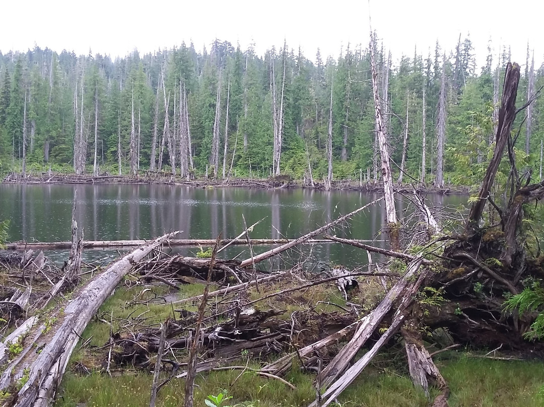 Spirit Lake Trail景点图片