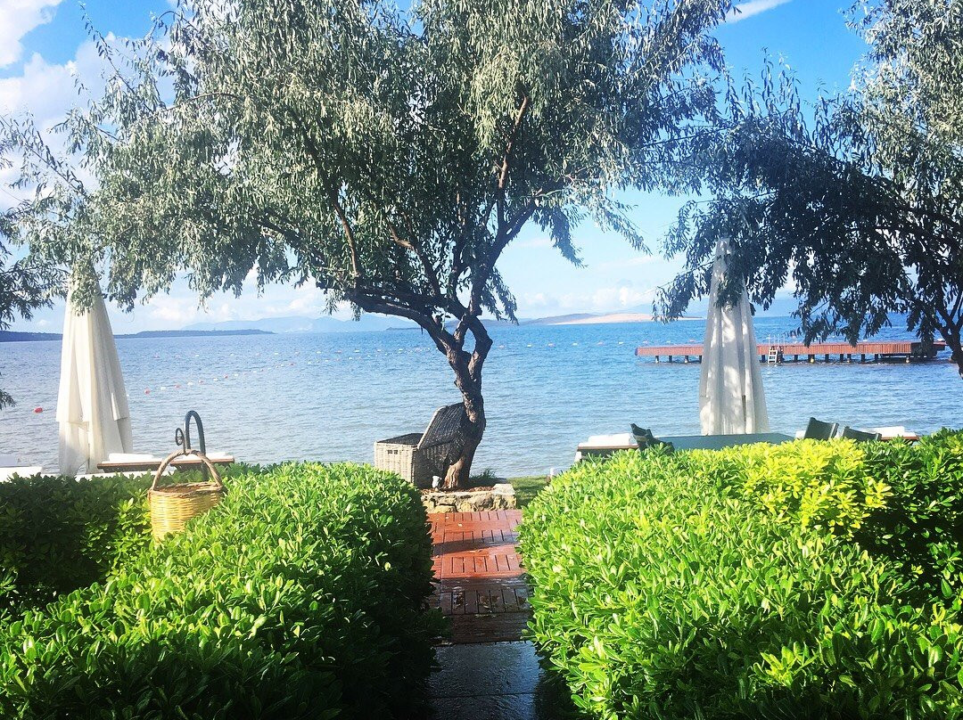 Ortunc Hotel - Cunda Island主图