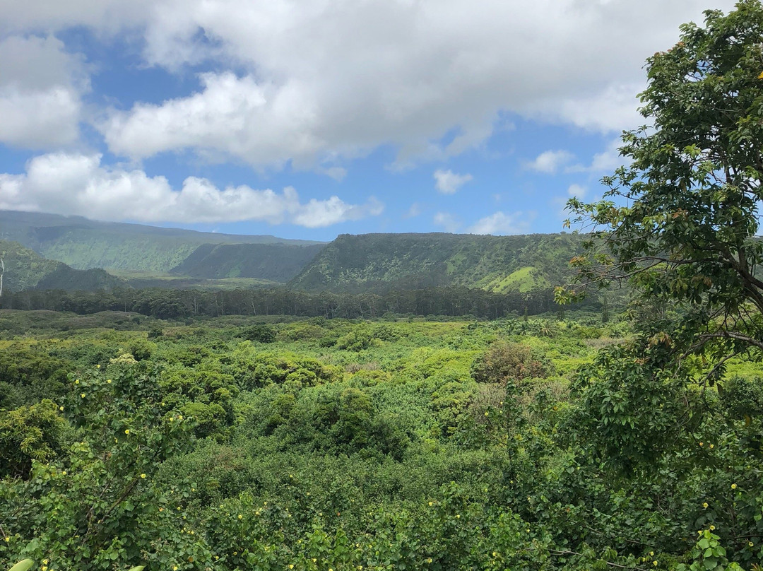 Wailua Valley State Wayside Park-库拉必去景点