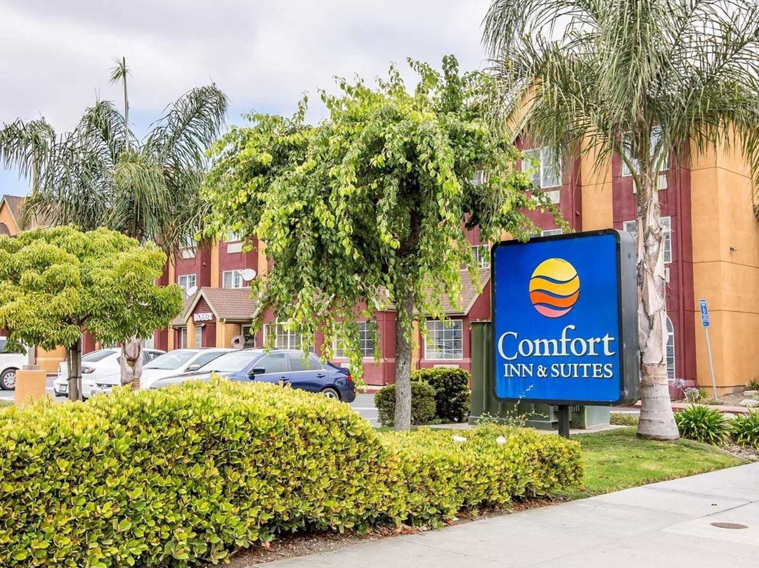 Comfort Inn & Suites Salinas主图