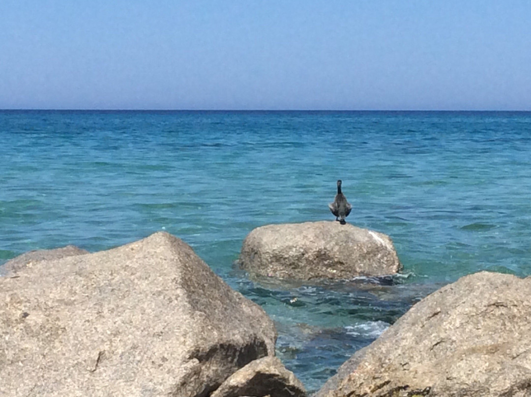 Spiaggia L’Agnata景点图片