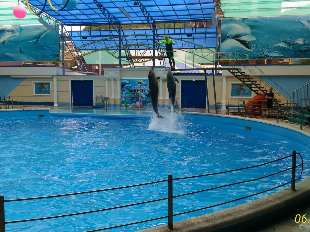 Aqua-Mir Dolphinarium景点图片