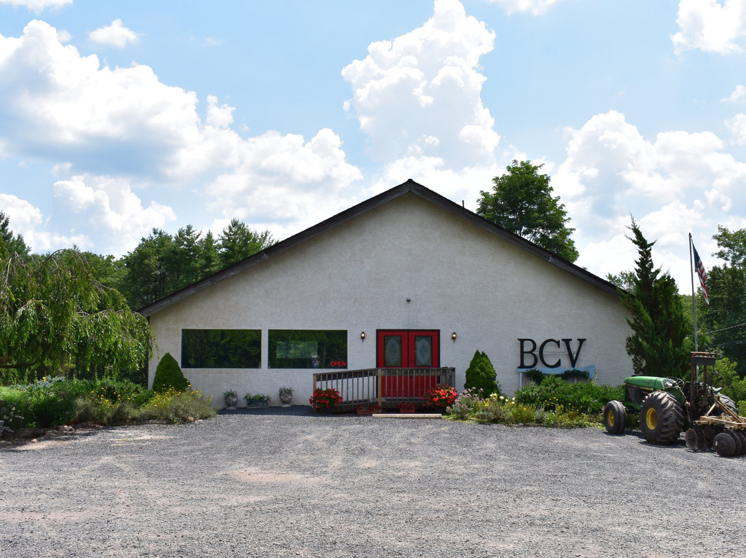 Big Creek Vineyard and Winery景点图片
