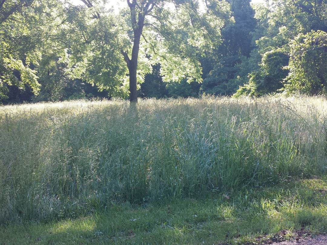 Woodland Mound Park-辛辛那提必去景点