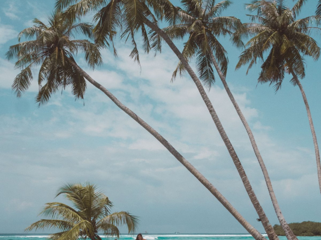 Season Paradise主图