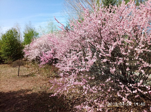 音河水库-甘南县必去景点
