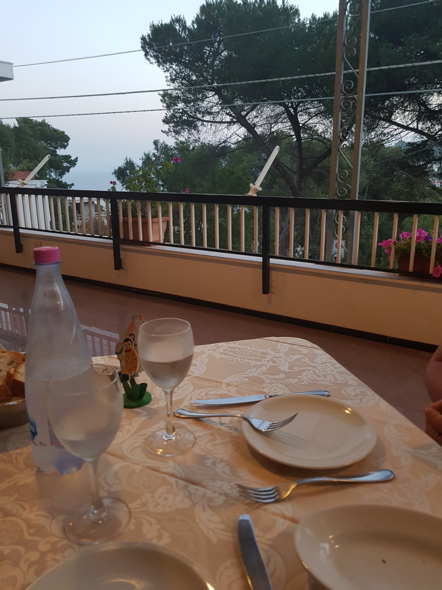 德优利维酒店-餐饮