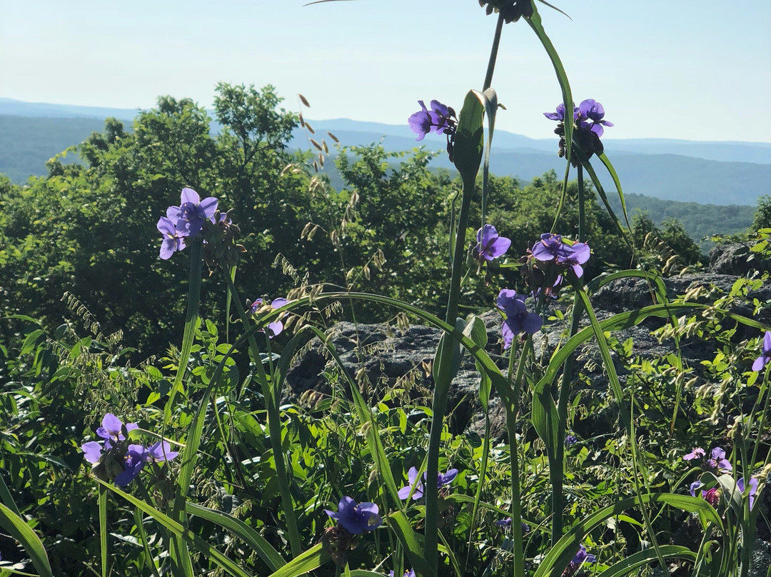 Mark Twain National Forest-罗拉必去景点