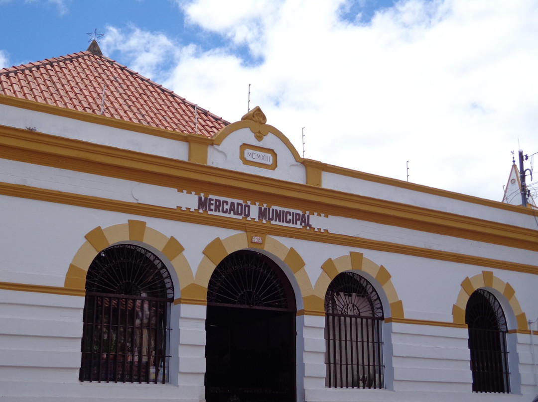Mercado Municipal de Cunha景点图片