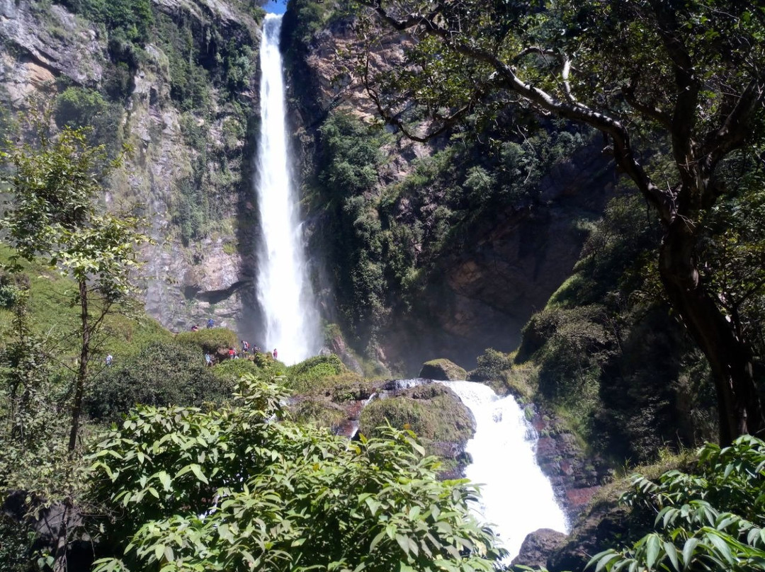 Parque Municipal do Itiquira景点图片