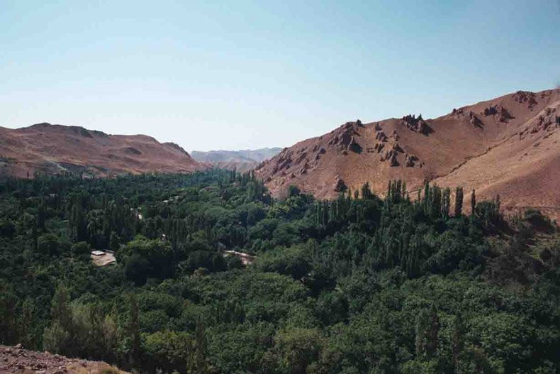 Salook National Park景点图片