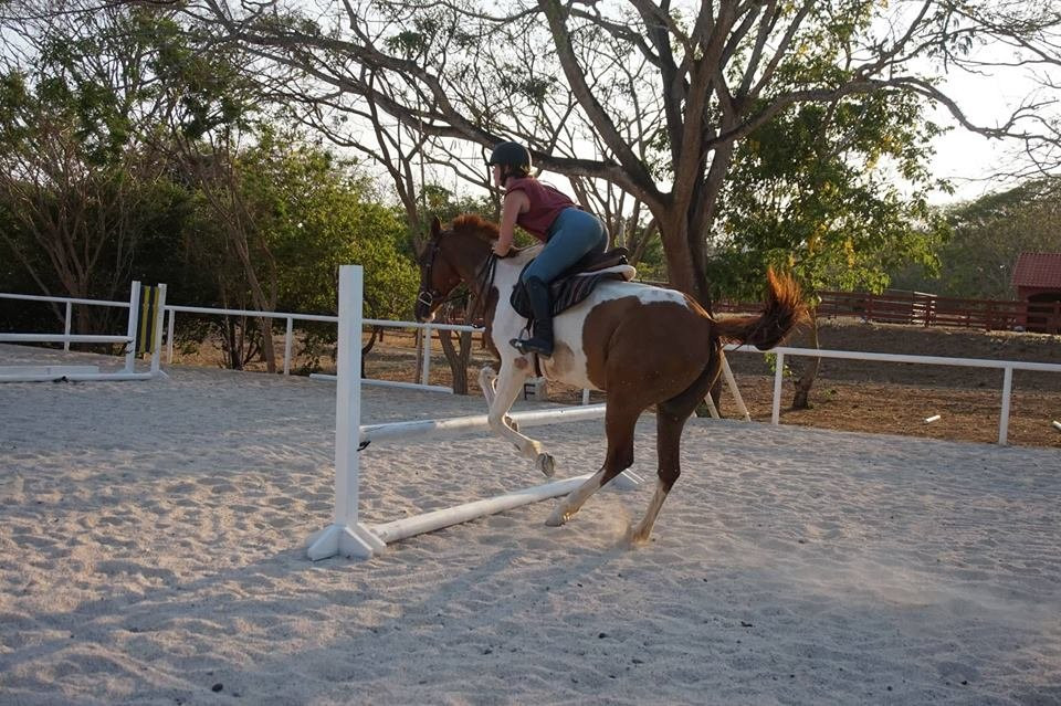 Perla Del Mar Equestrian Center景点图片