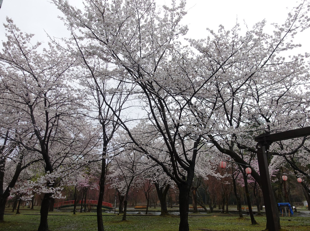 Yuzawa Central Park景点图片