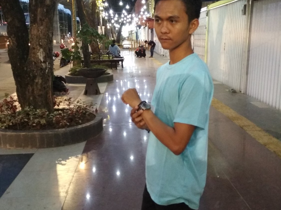 Sudirman Street Pedestrian-巨港必去景点