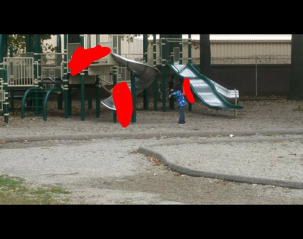 Weigand Park-沃伦必去景点