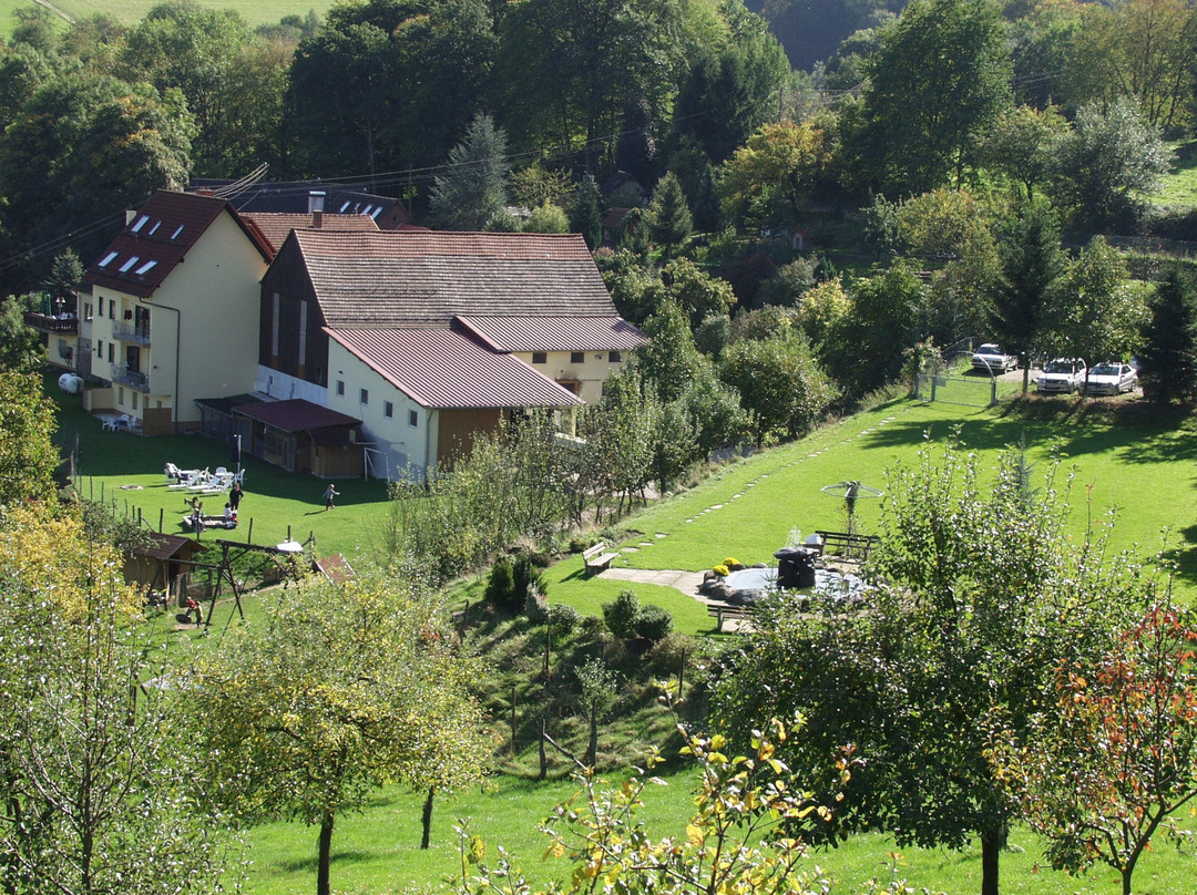 Weiher餐馆和美食-Gasthof zum Grünen Baum