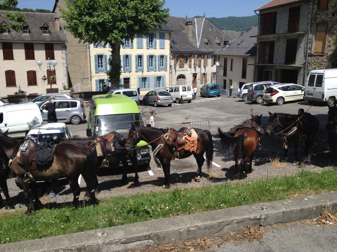 Résidence Crone主图