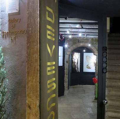 Galeria Histeria-罗维尼必去景点