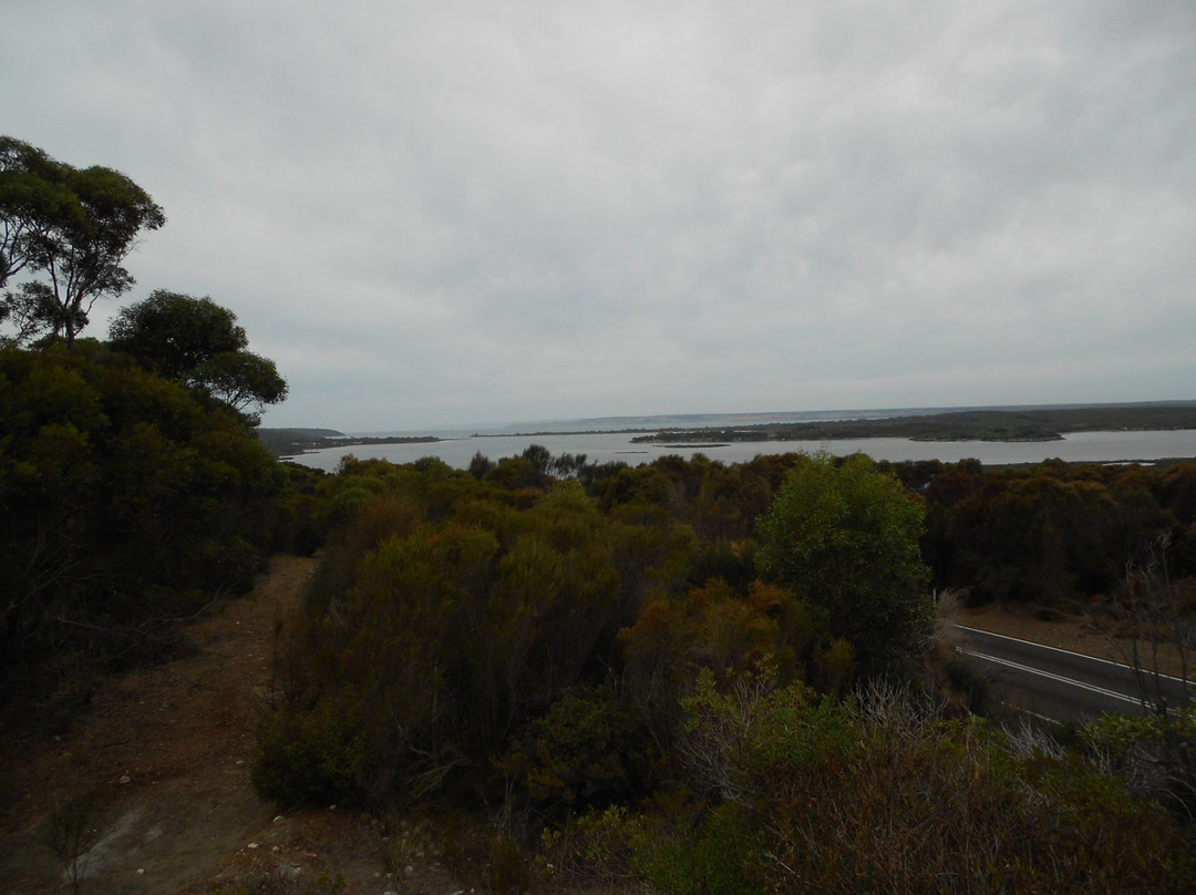 Cruising Kangaroo Island Kayak Tours-American River必去景点